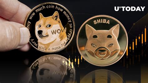 Shiba Inu (SHIB) Soars 13% Against Dogecoin (DOGE) and That May Not Be ...