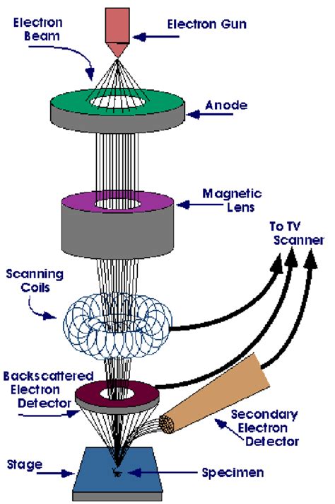 Scanning Electron Microscope Block Diagram