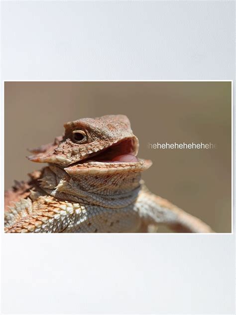 "Laughing Lizard Meme" Poster by FlashmanBiscuit | Redbubble