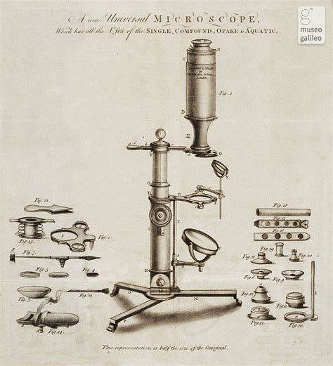 Museo Galileo - Enlarged image - Microscope