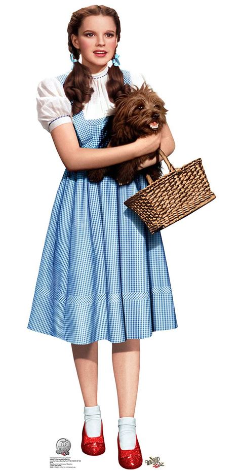 wizard of oz dorothy - Google Search Dorthy Wizard Of Oz, Toto Wizard ...