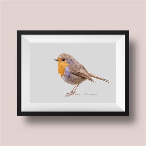 Robin print | Etsy