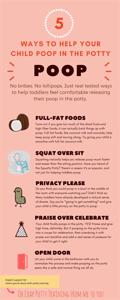 Potty Training Poop Tips for Toddlers