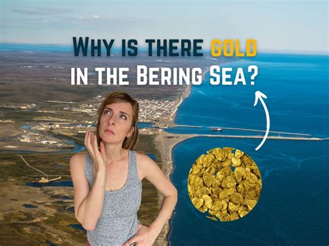 Why is there gold in the Bering Sea?