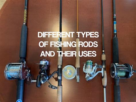 Different Types Of Fishing Rods And Their Uses