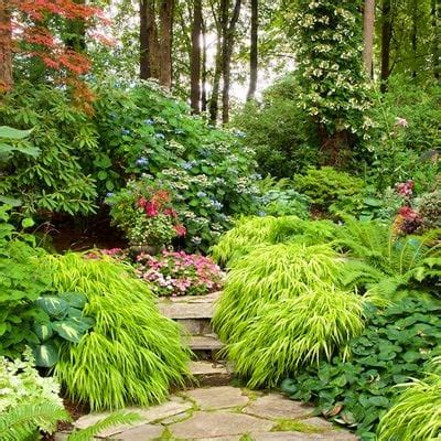 Shade Gardens: Ideas, Design & Inspiration | Garden Design