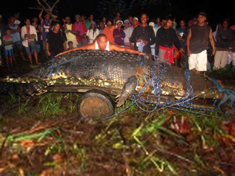 Lolong, the world's largest captive crocodile, dies in the Philippines ...