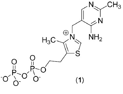 Thiamine pyrophosphate (TPP) structure. | Download Scientific Diagram