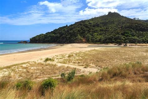 Best Coromandel Beaches: Sun, Surf, Scenery