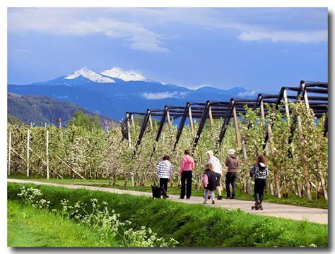 Bolzano Daily Photo: Spring walk