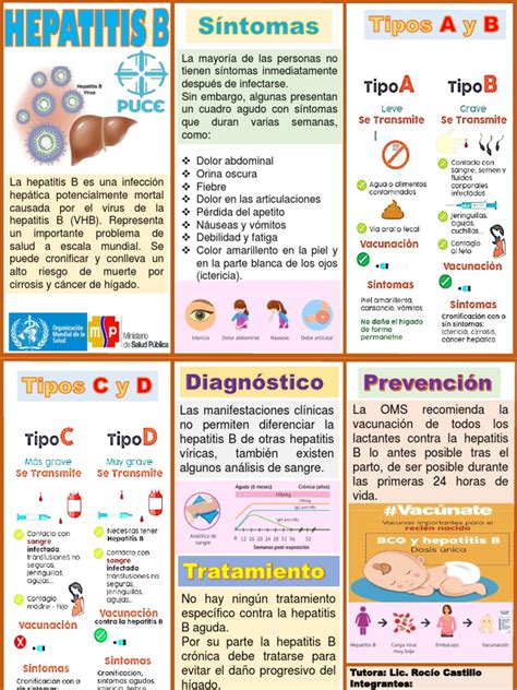 Hepatitis B | PDF