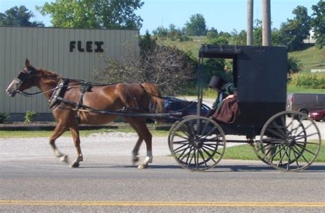 swartzentruber amish buggy Amish Pennsylvania, Amish House, Holmes ...