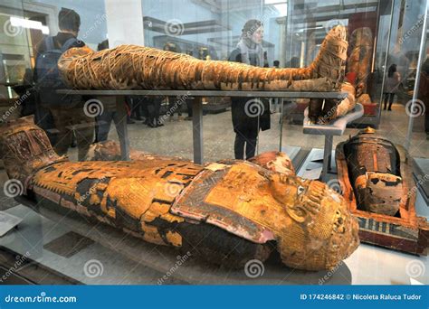 Egyptian Mummies at the British Museum in London, England Editorial ...