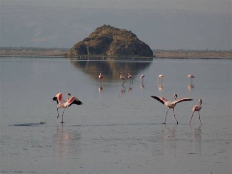 Tanzania: Flamingos at Lake Natron – Travel2Unlimited