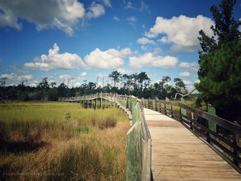 Cedar Point Tideland Trail in Carteret County North Carolina - EVERYONE ...