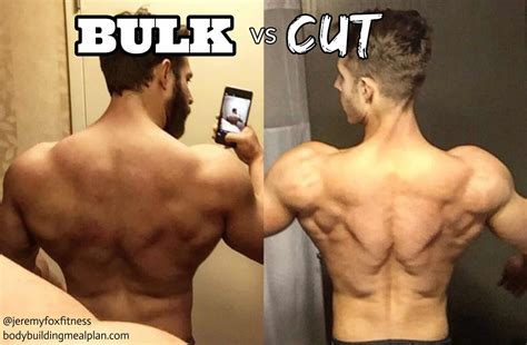 Bulk vs Cut - How to Choose the Right Fitness Goal (With Quiz)