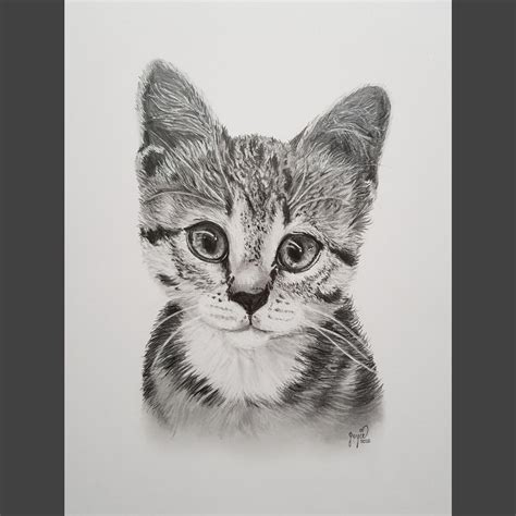 Drawing of a cute baby cat I finished today : r/aww