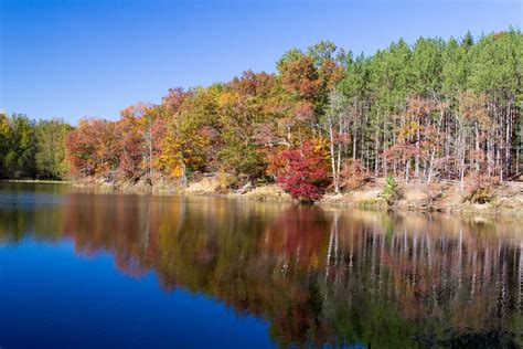 Minnesota Fall Colors Guide for this Weekend [Map]