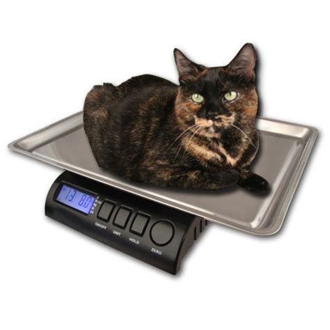 Top 10 Best Pet Scales For Cats in 2024 (Buying Guide) - Best Review Geek