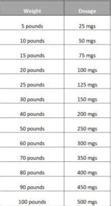 Human Amoxicillin For Dogs Dosage - What You Need To Know! (2024) - We ...