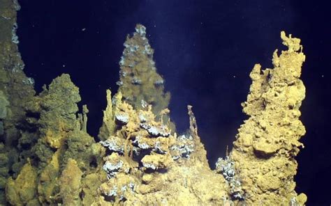 Deep sea vents had ideal conditions for origin of life | UCL News - UCL ...