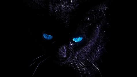 Cat Blue Eyes Wallpapers - Top Free Cat Blue Eyes Backgrounds ...