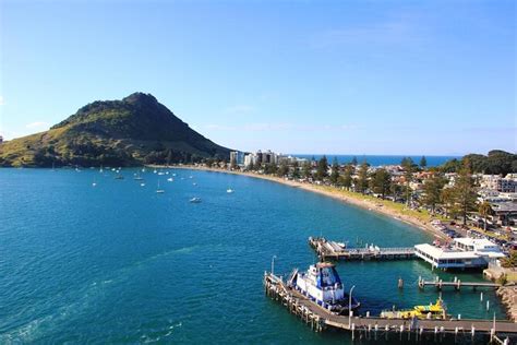 Port of Tauranga - What To Know BEFORE You Go | Viator