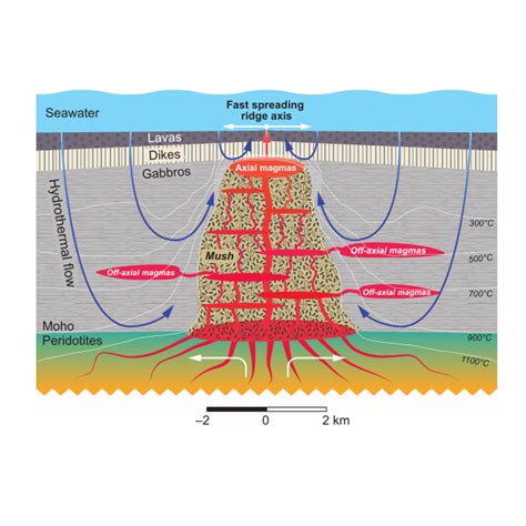 (PDF) Formation of fast-spreading lower oceanic crust as revealed by a ...