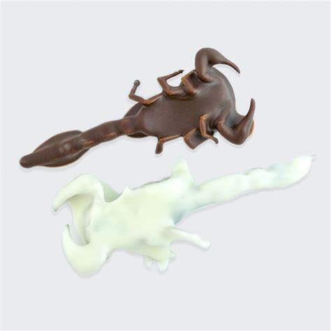 Yin-Yang Chocolate Covered Scorpions