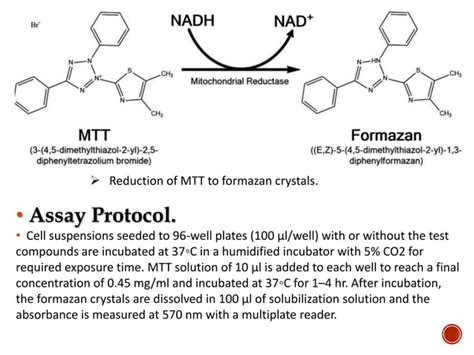 Principles & Applications of cell viability assays (MTT Assays) | PPT