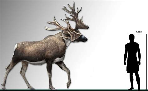 Discover 6 Extinct Animals That Lived in Vermont - A-Z Animals