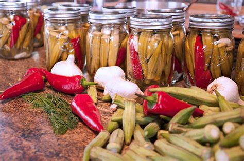 Fermentation 101: Preserve Your Veggies and Your Health | Homemade ...