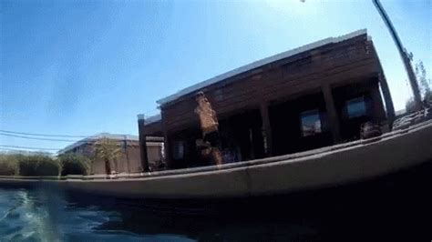 Back Flip Conclusion GIF - BackFlip Conclusion Jumping - Discover ...