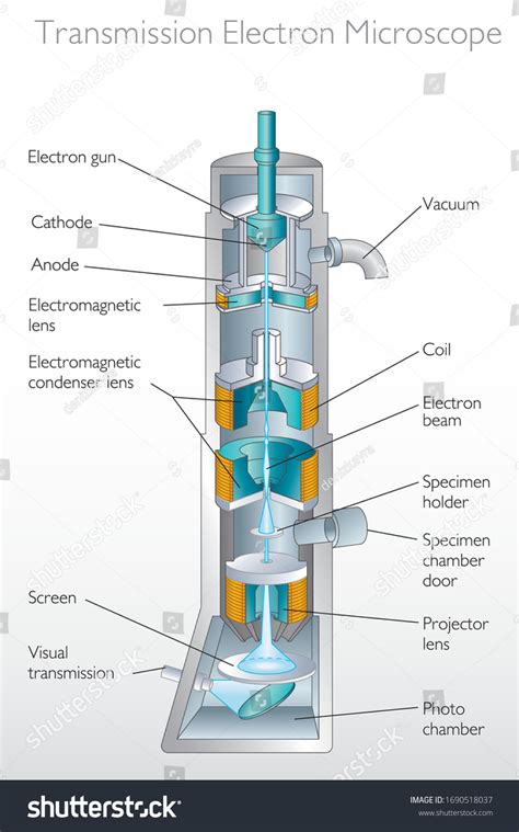 Scanning Electron Microscope: Over 146 Royalty-Free Licensable Stock ...