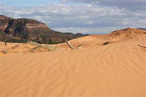 Nevada and Utah: Coral Pink Sand Dunes (Utah)