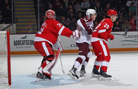 Soo Greyhounds Dominate Peterborough Petes in 4-0 Shutout Win - BVM Sports