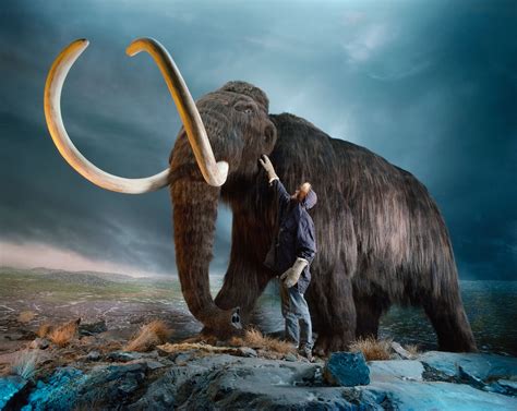 Scientists want to resurrect the woolly mammoth. They just got $15 ...