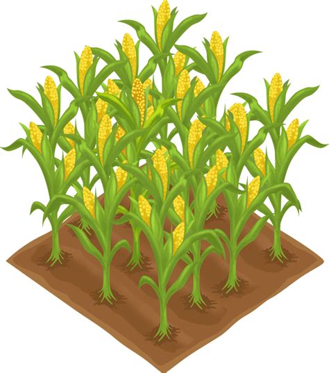 Farming clipart corn farmer, Picture #1064037 farming clipart corn farmer