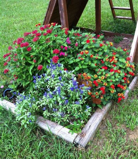 15 Easy Butterfly Garden Ideas & Butterfly Garden Guide - Foter