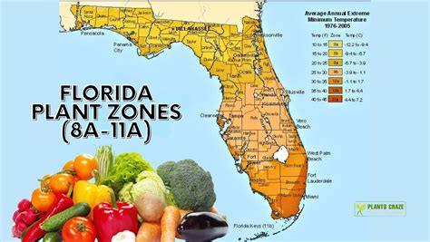 Florida Plant Zones [With 7 Tips to Grow Plants in The Zone]