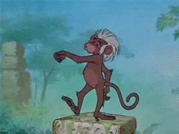 Monkey Dance GIF - Monkey Dance Groovy - Discover & Share GIFs