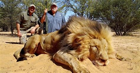 Trophy Hunting – A very British contribution - Animal Charity - Animal ...