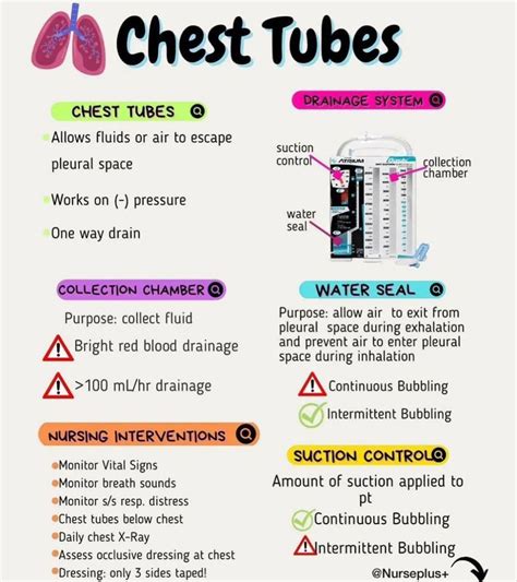 Chest Tubes | Nursing school survival, Nurse study notes, Nursing ...