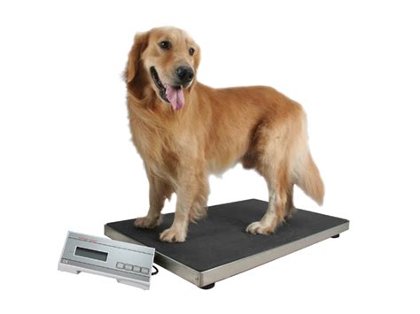 Pet Scale, Large Pet Weight Scale for Dogs - MS2200