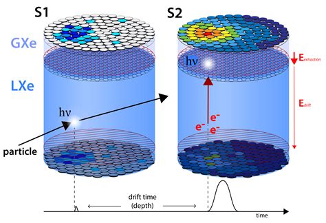 Dark Matter Detection