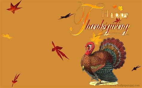 Turkey Thanksgiving Wallpapers - Wallpaper Cave