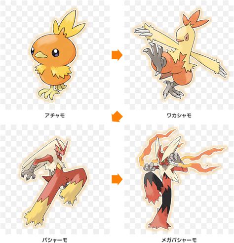 Torchic Evolution