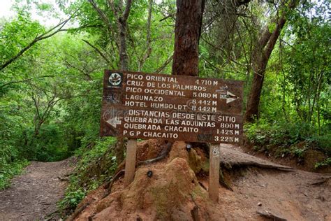 Caracas Venezuela 08/18/2018 El Avila National Park Editorial Editorial ...