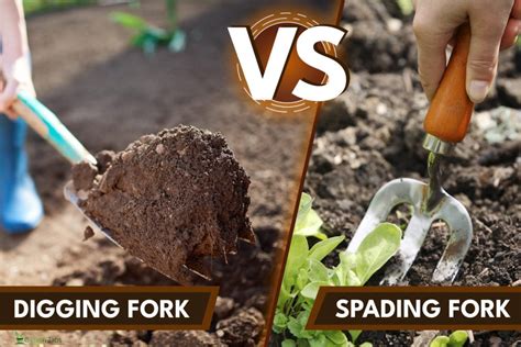 Spading Fork Vs. Digging Fork: What's The Difference?