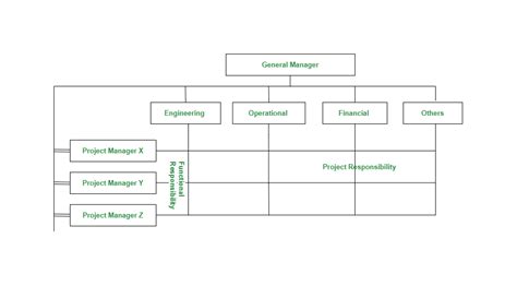 Matrix Organizational Structure - GeeksforGeeks